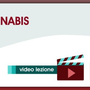 CANNABIS